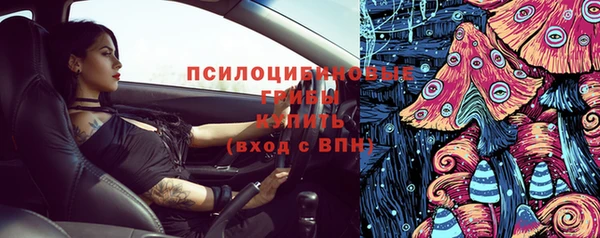 гашик Богданович
